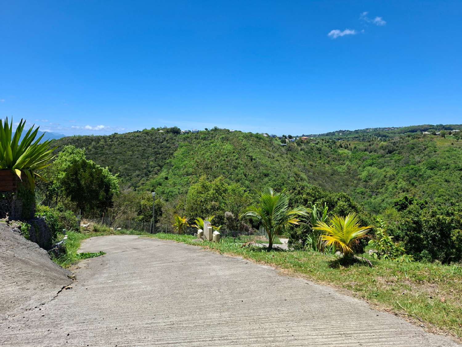  à vendre terrain Sainte-Luce Martinique 5