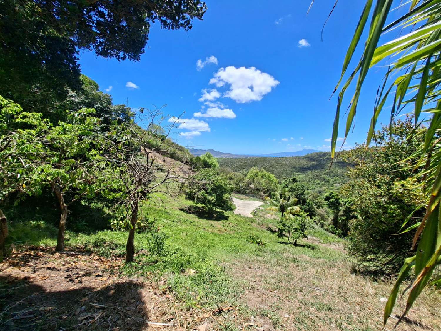  à vendre terrain Sainte-Luce Martinique 4