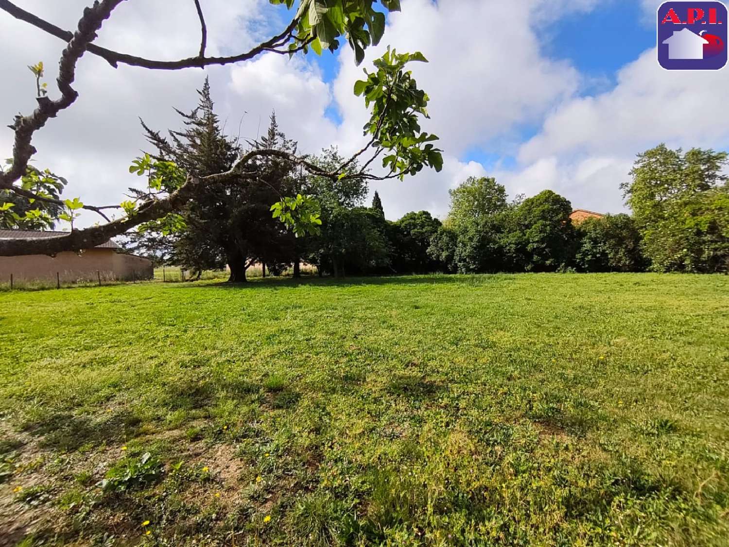 for sale terrain Salles-sur-Garonne Haute-Garonne 3
