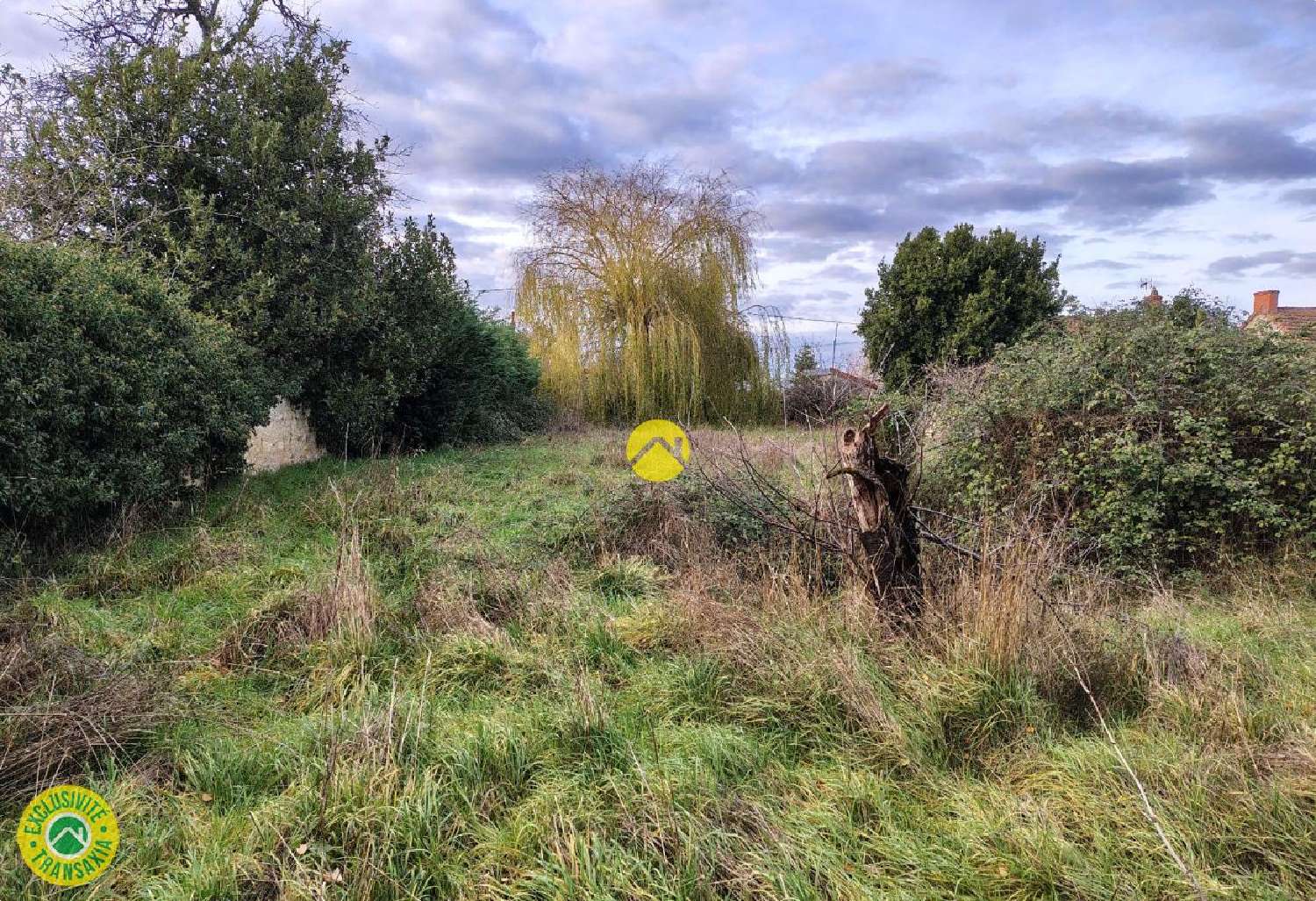 te koop terrein Sancoins Cher 2