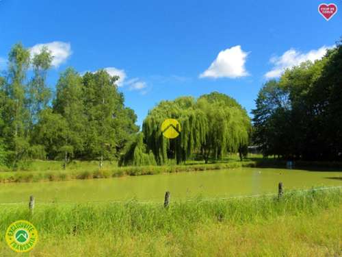 Savigny-en-Sancerre Cher terrein foto