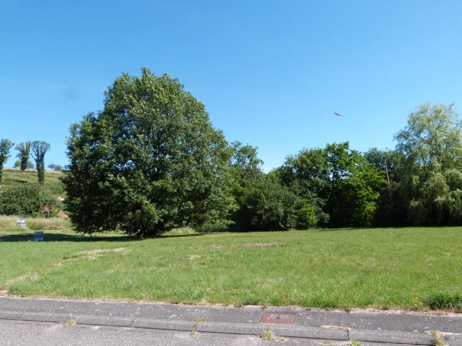  à vendre terrain Schorbach Moselle 8