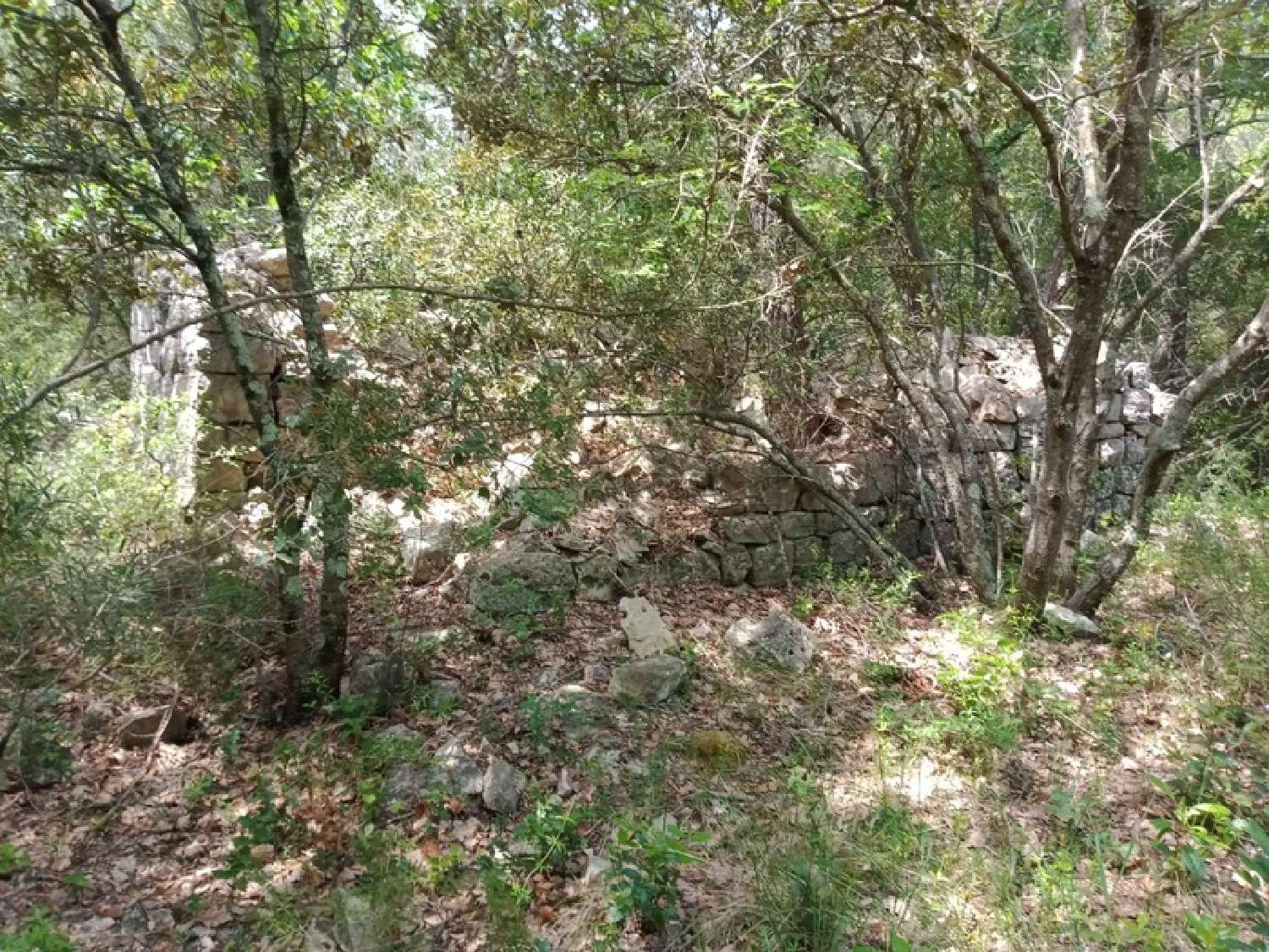  en venta terreno Trans-en-Provence Var 1