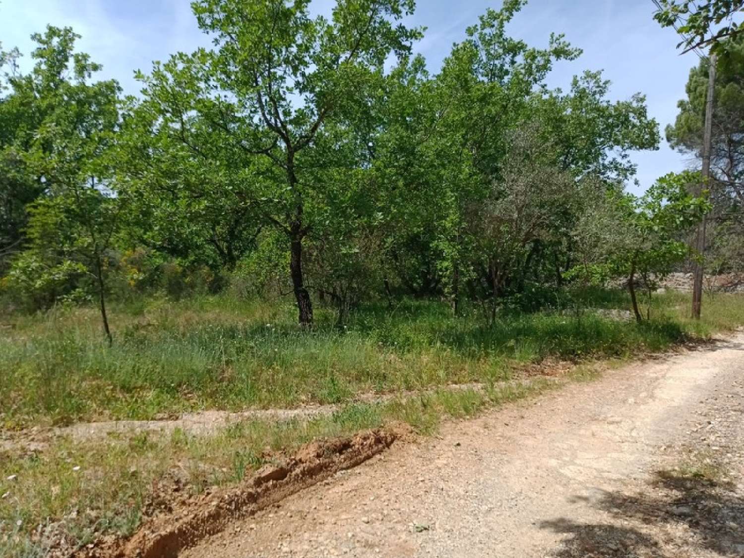  en venta terreno Trans-en-Provence Var 3