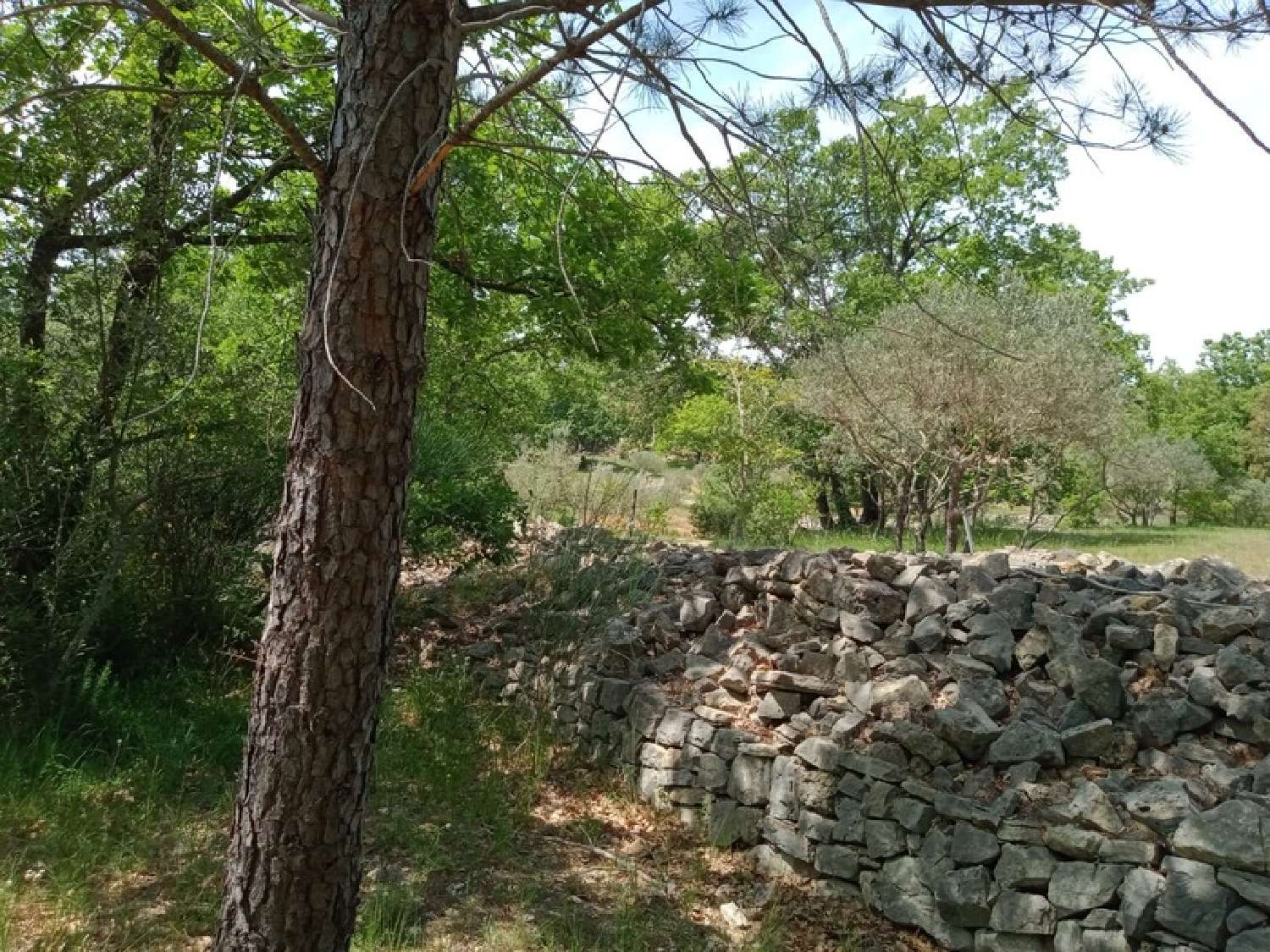  en venta terreno Trans-en-Provence Var 5