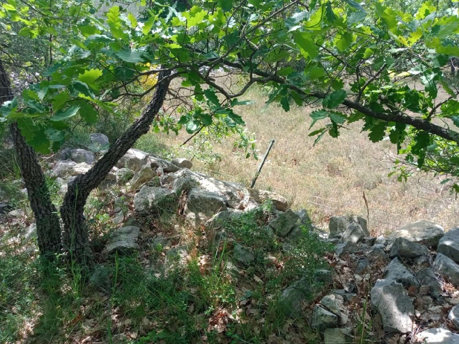 en venta terreno Trans-en-Provence Var 6