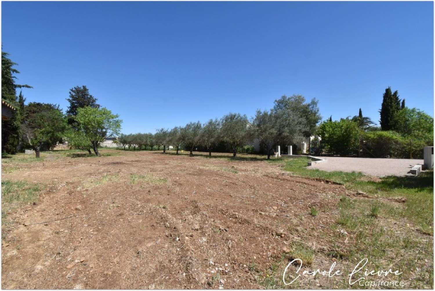  for sale terrain Tressan Hérault 2