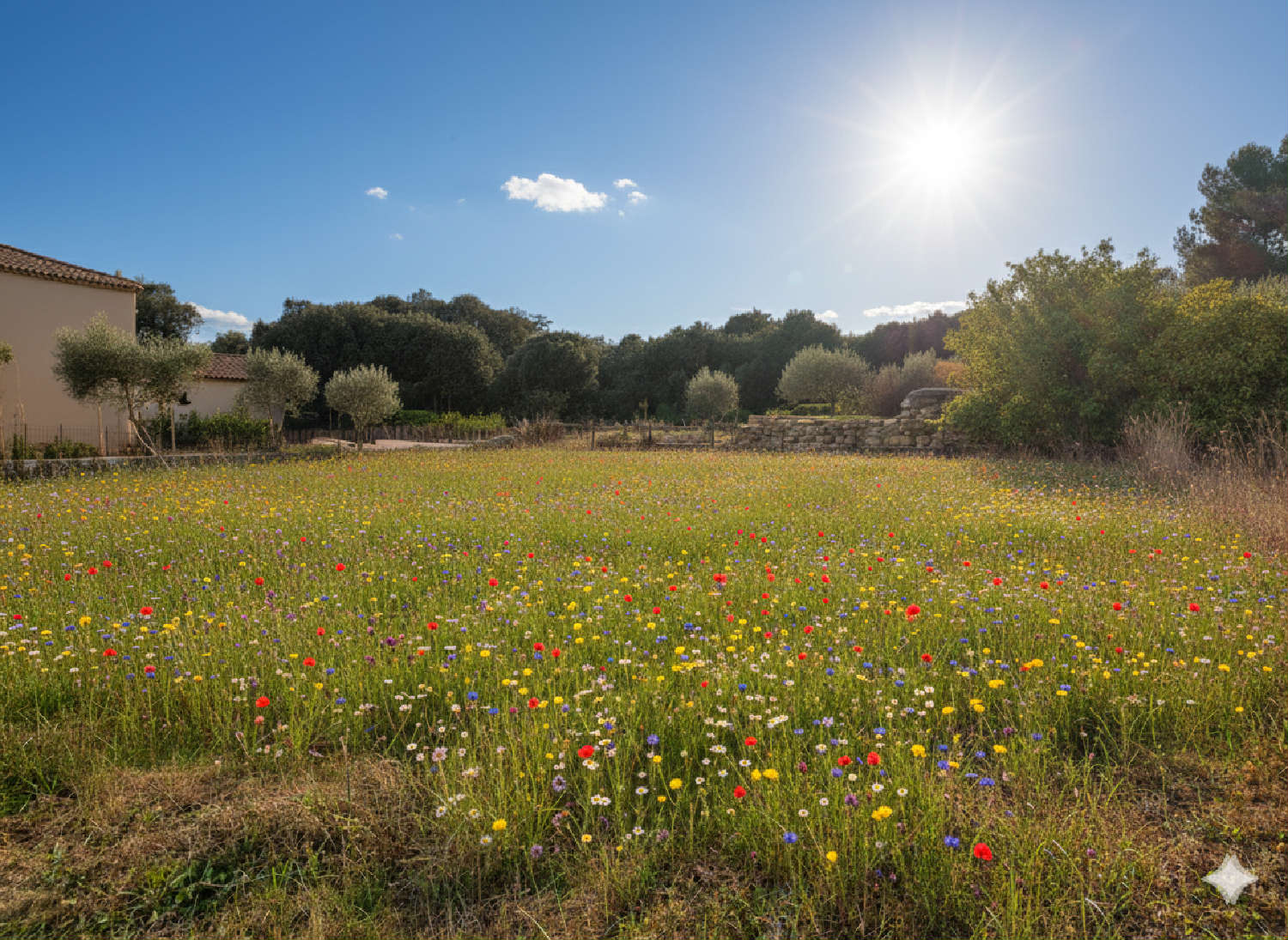 à vendre terrain Uzès Gard 2