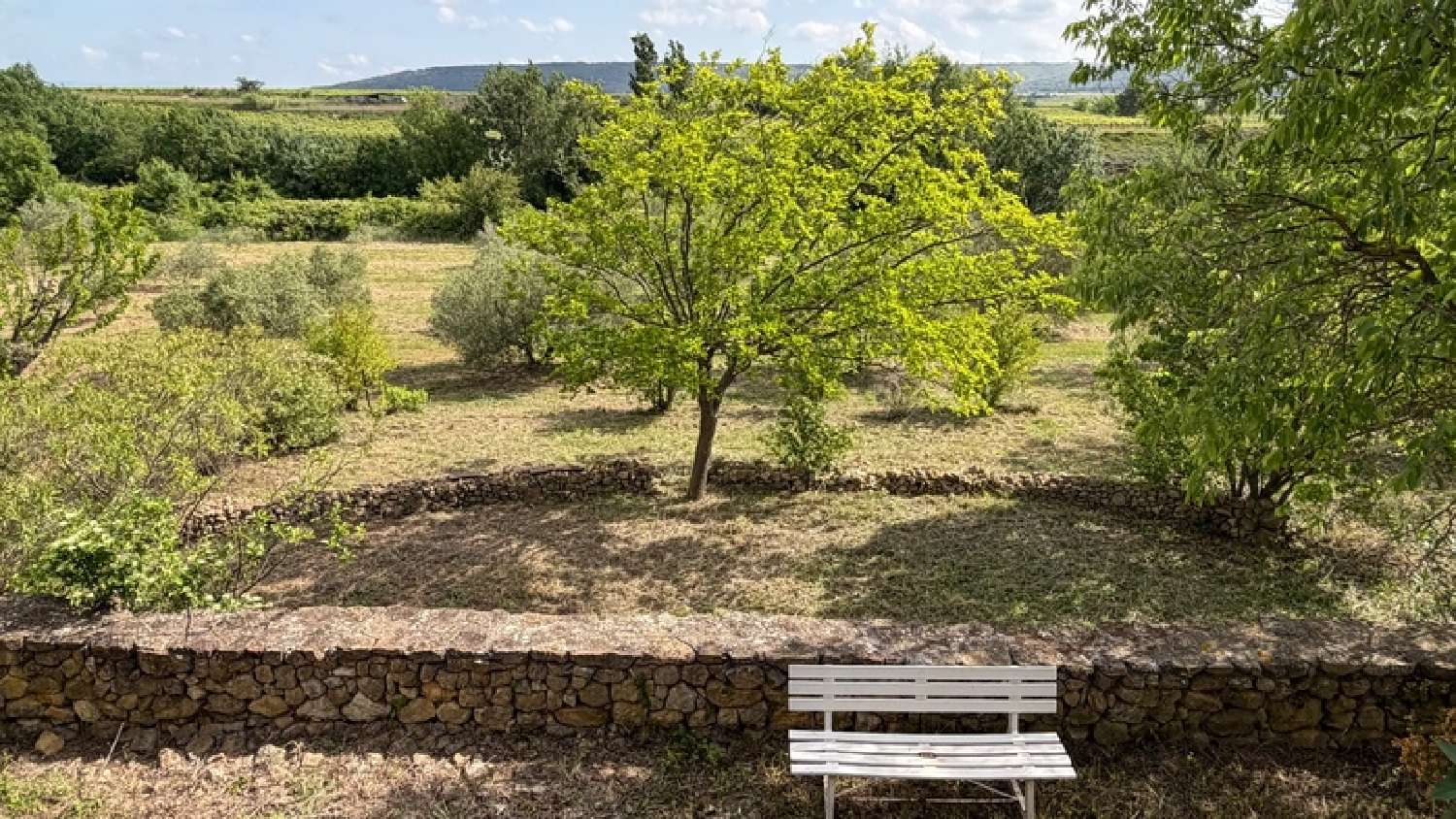  for sale terrain Vendémian Hérault 3