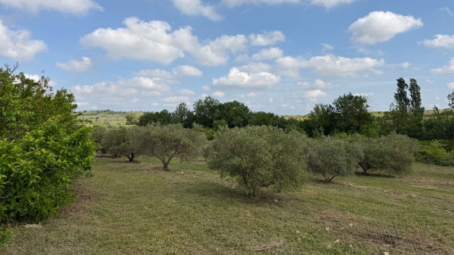  for sale terrain Vendémian Hérault 5