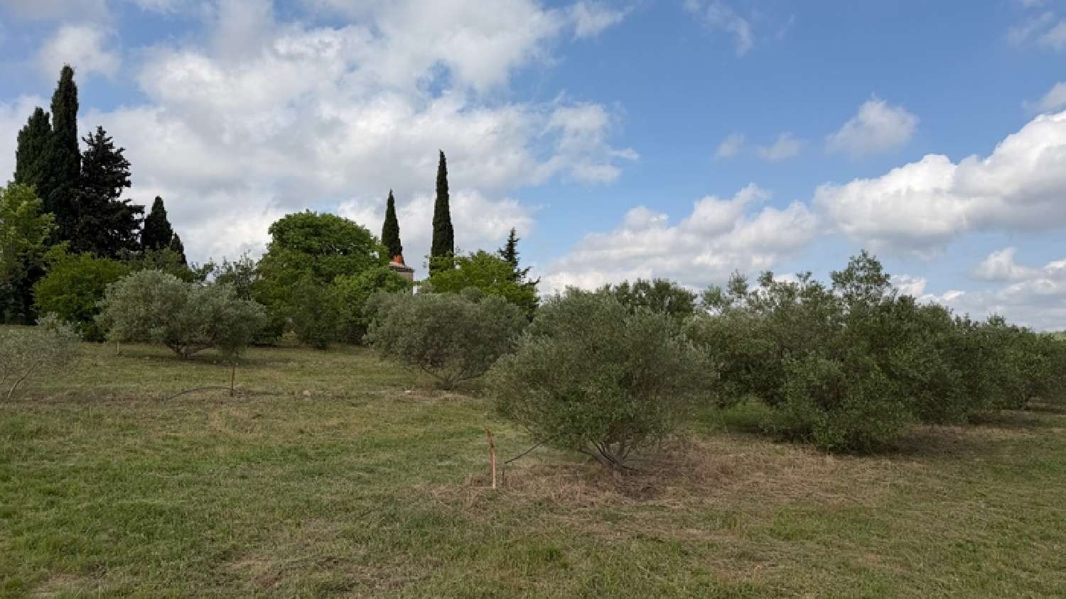 for sale terrain Vendémian Hérault 6