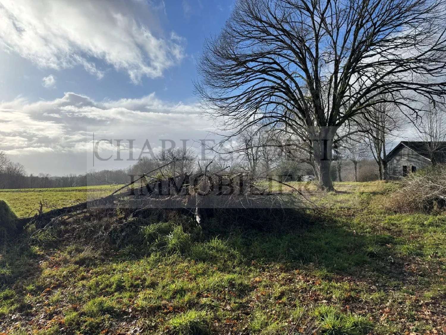 te koop terrein Villefranche-du-Périgord Dordogne 2