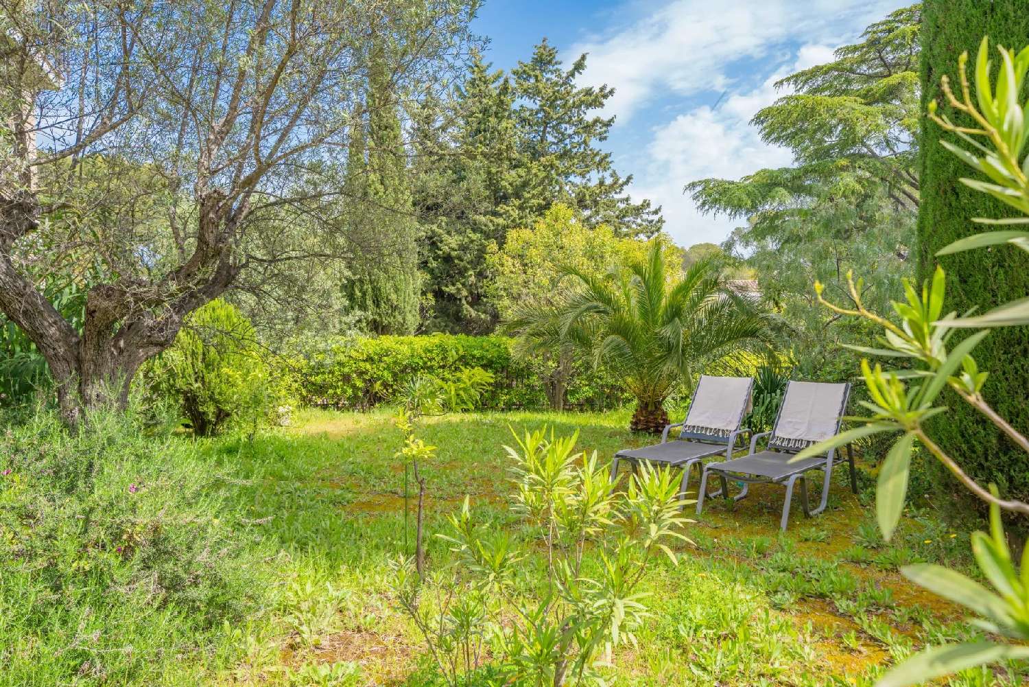 à vendre villa Anthéor Var 5