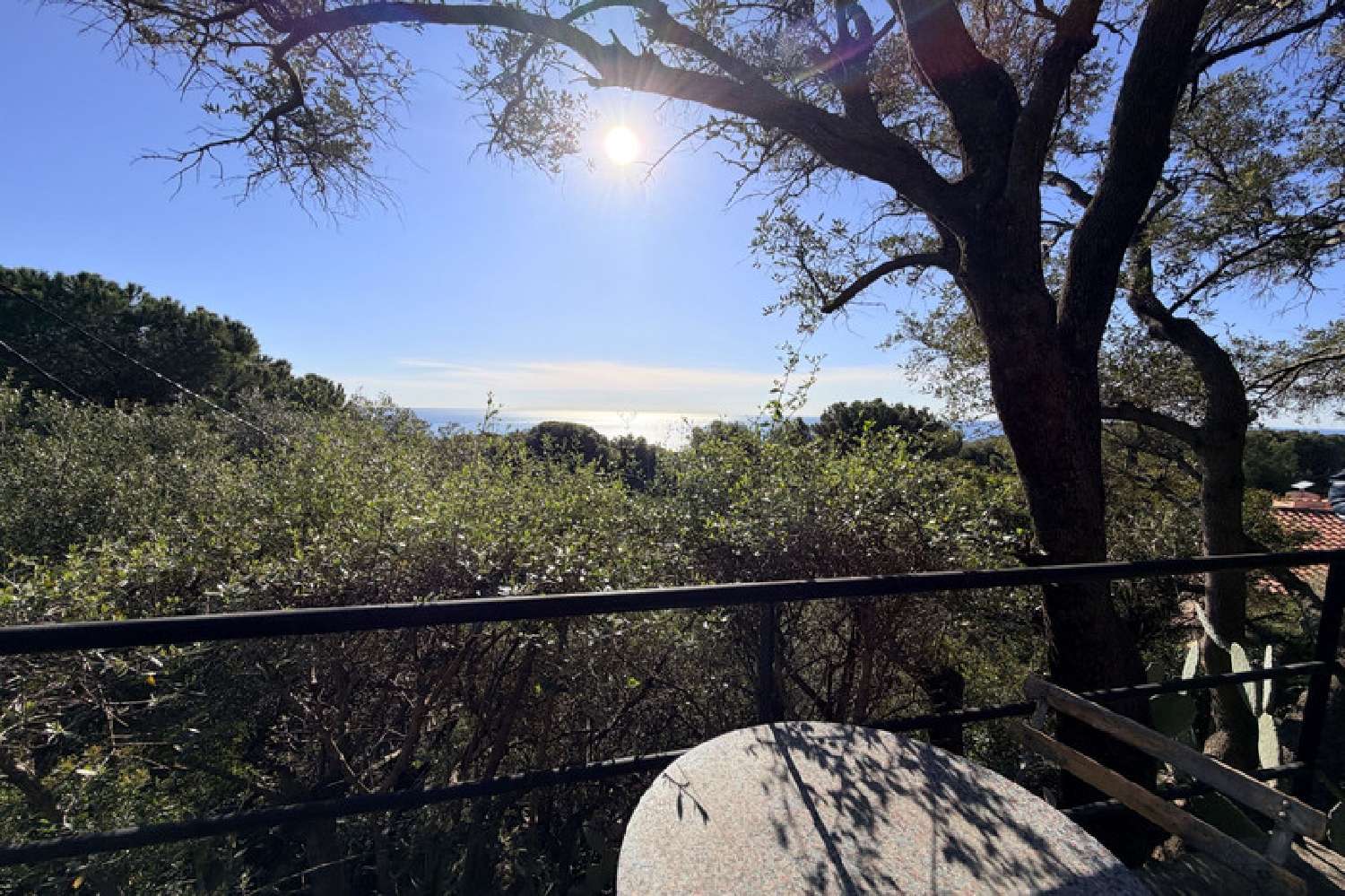  à vendre villa Antibes 06160 Alpes-Maritimes 2