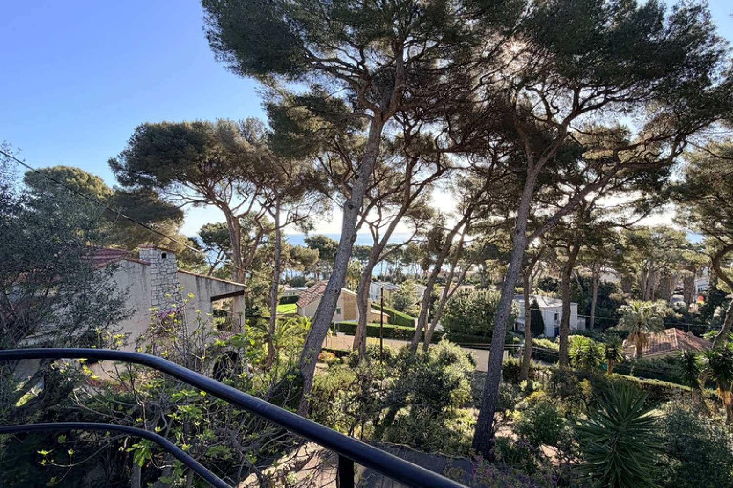  à vendre villa Antibes 06160 Alpes-Maritimes 3