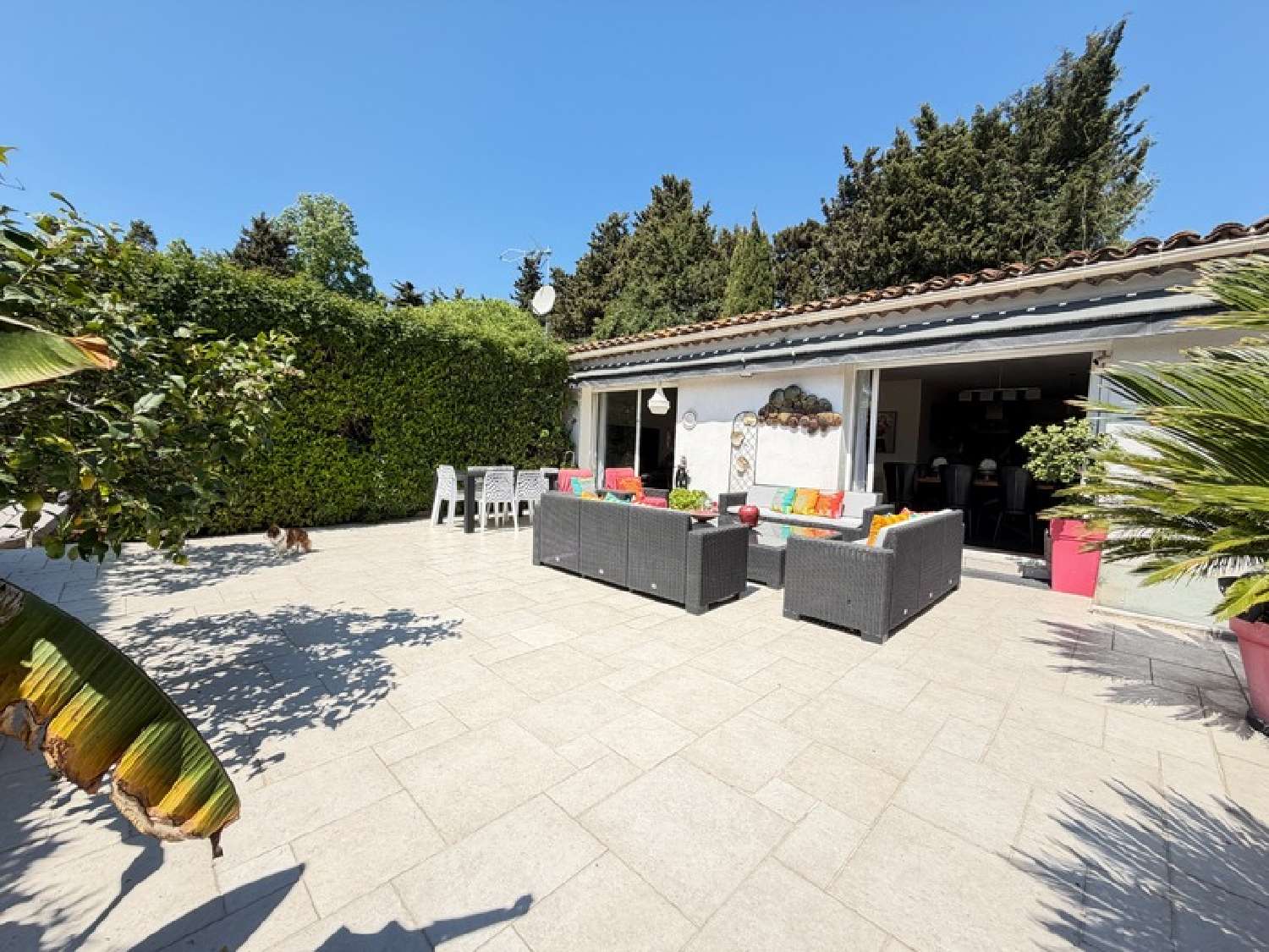  for sale villa Antibes Alpes-Maritimes 4