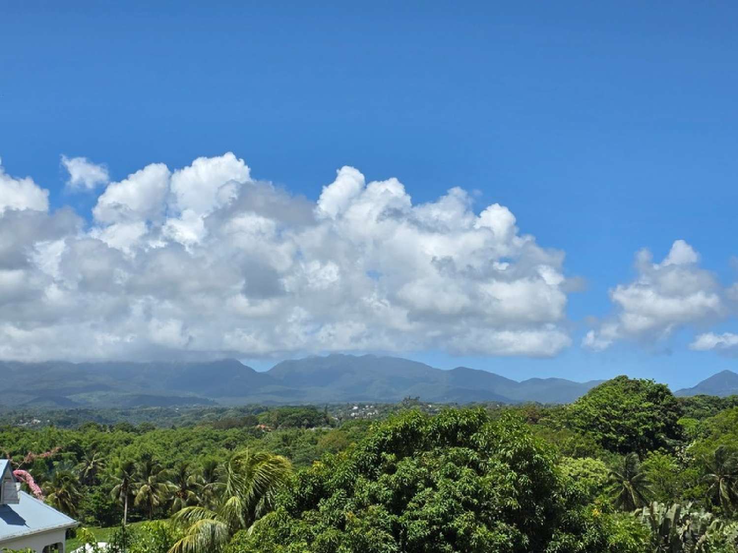  kaufen Villa Baie-Mahault Guadeloupe 1