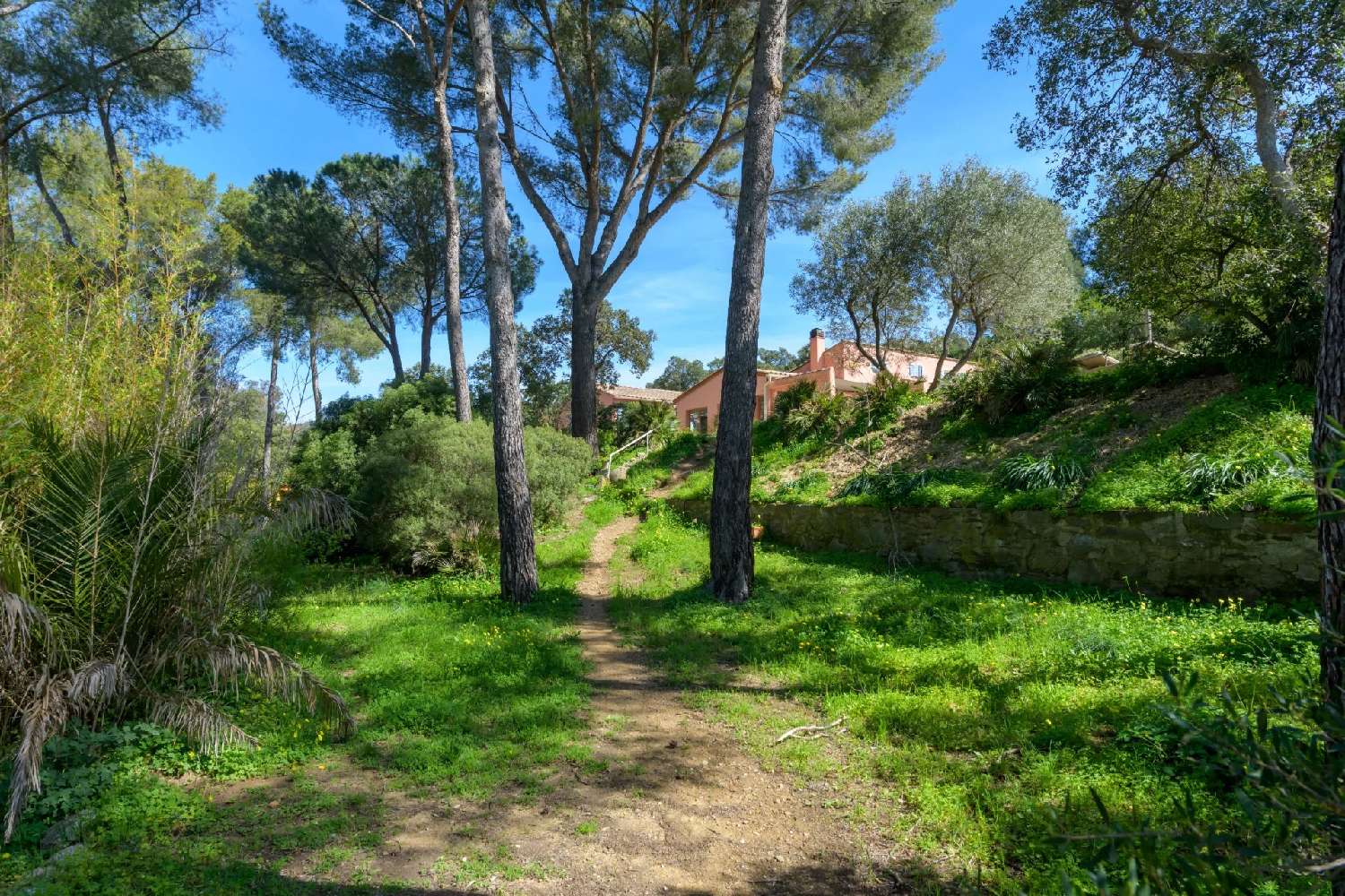  for sale villa Bormes-les-Mimosas Var 7