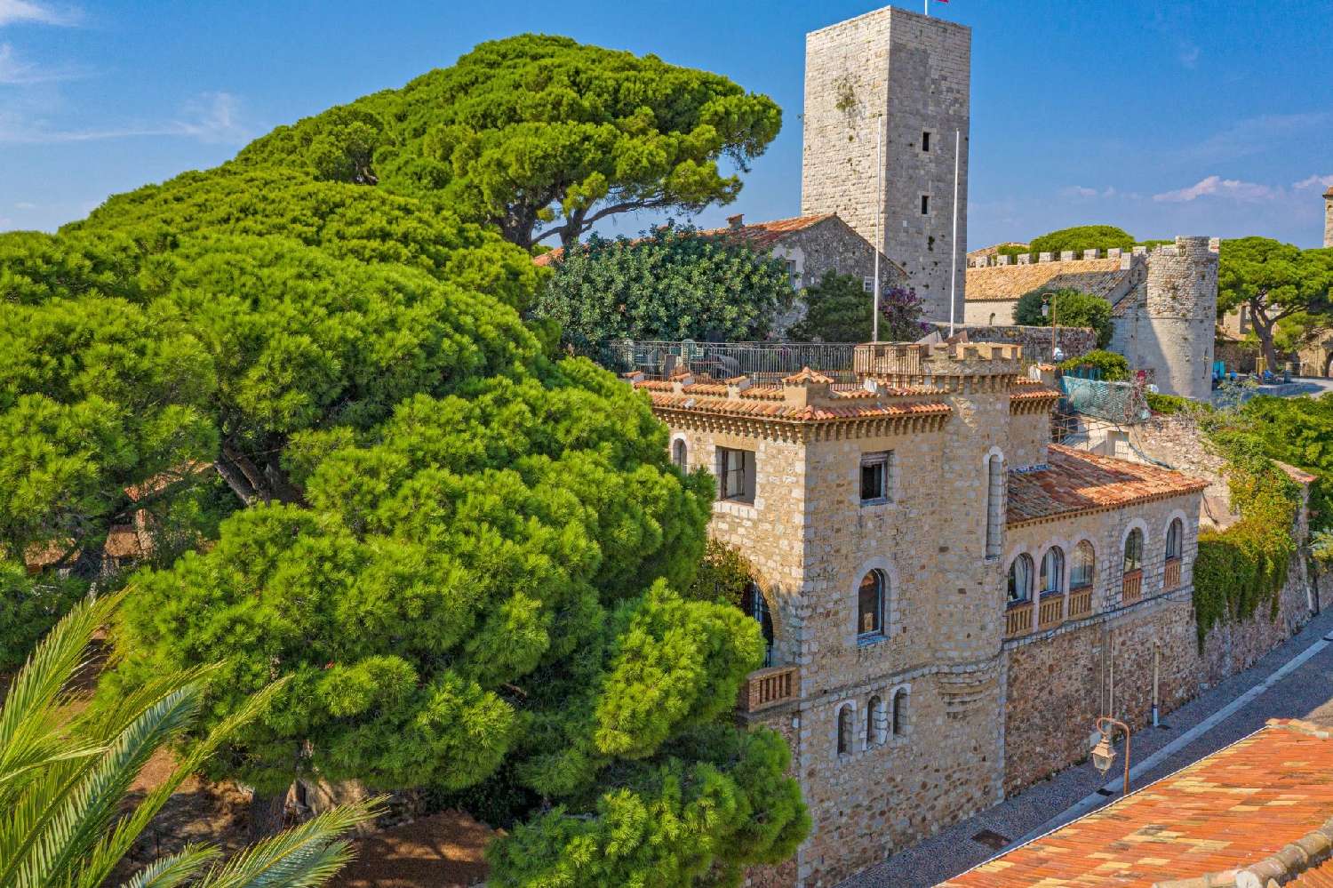  kaufen Villa Cannes Alpes-Maritimes 8