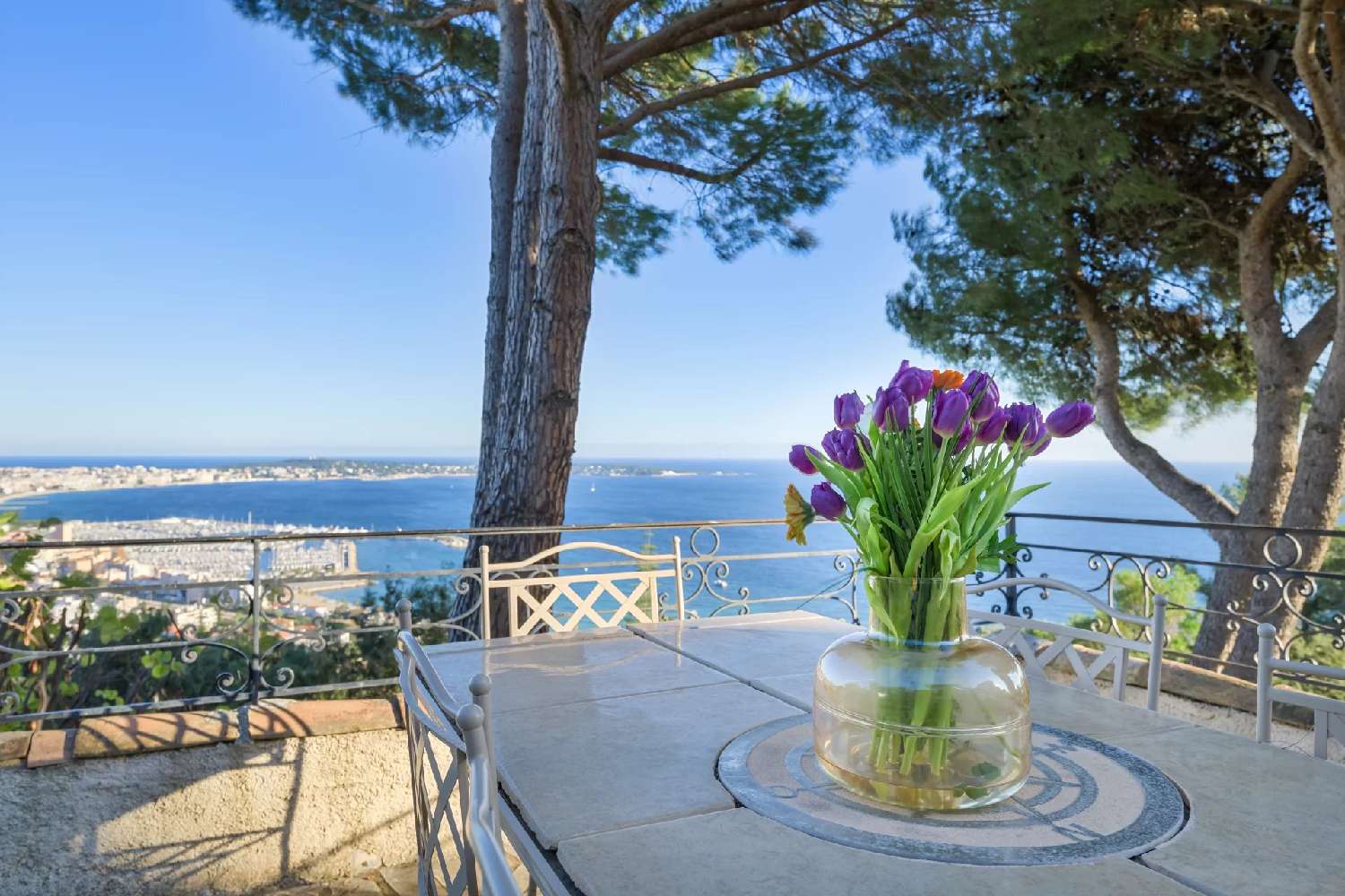  for sale villa Cannes Alpes-Maritimes 6