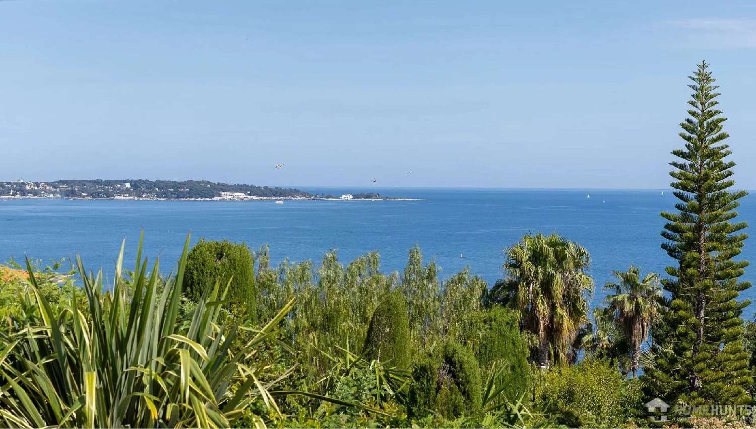  à vendre villa Cannes Alpes-Maritimes 4