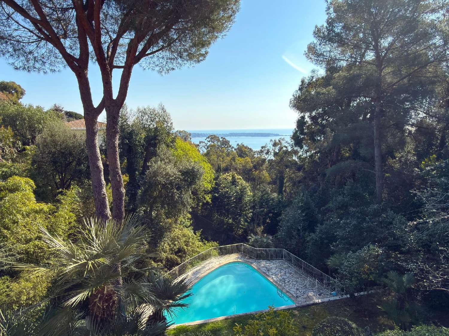  for sale villa Cannes Alpes-Maritimes 3