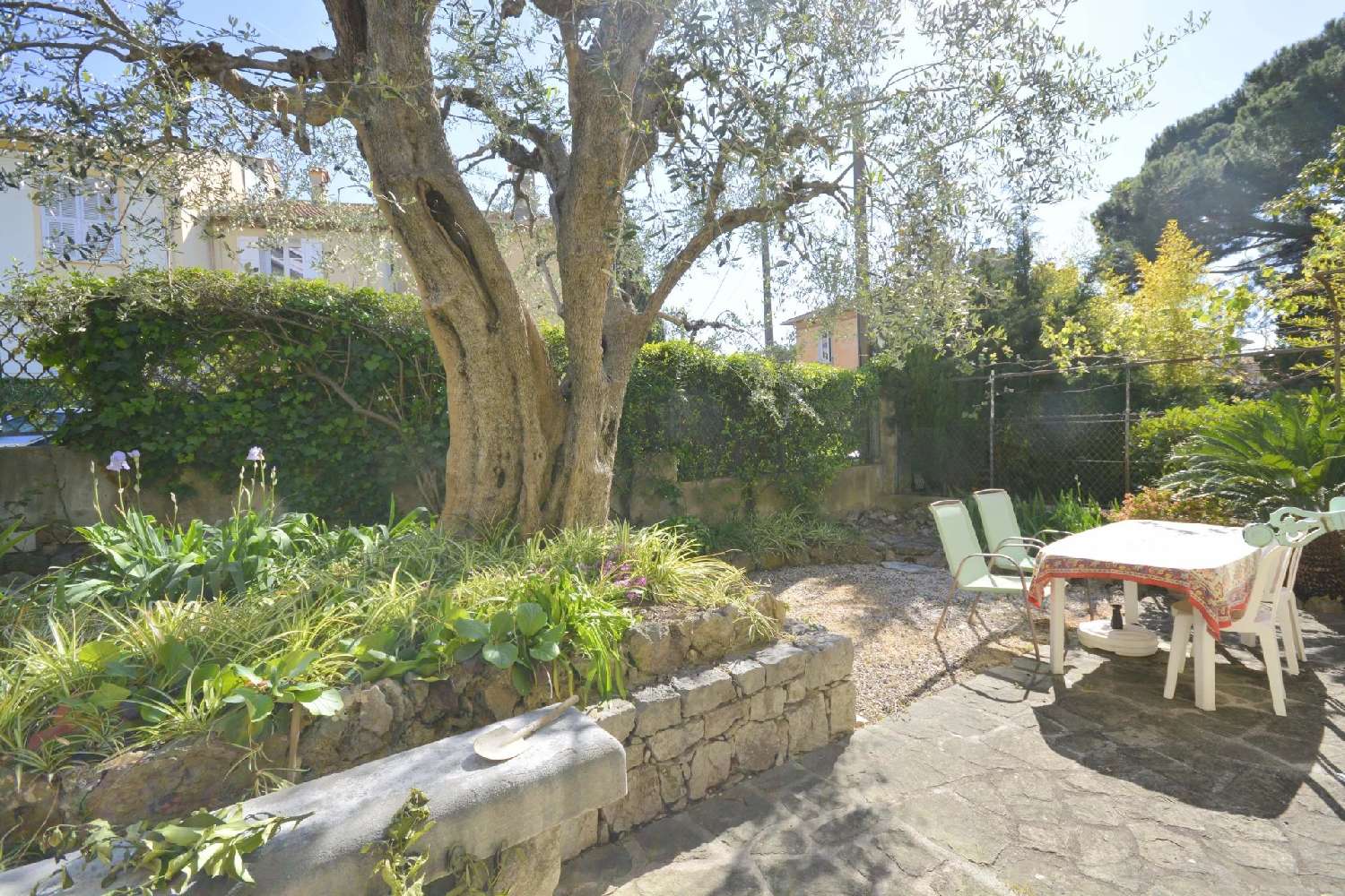  à vendre villa Cannes Alpes-Maritimes 4