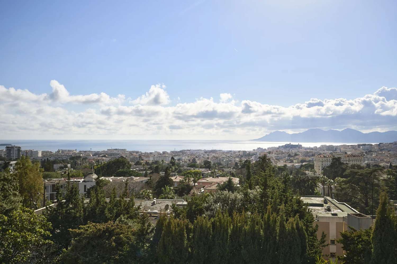  for sale villa Cannes Alpes-Maritimes 2