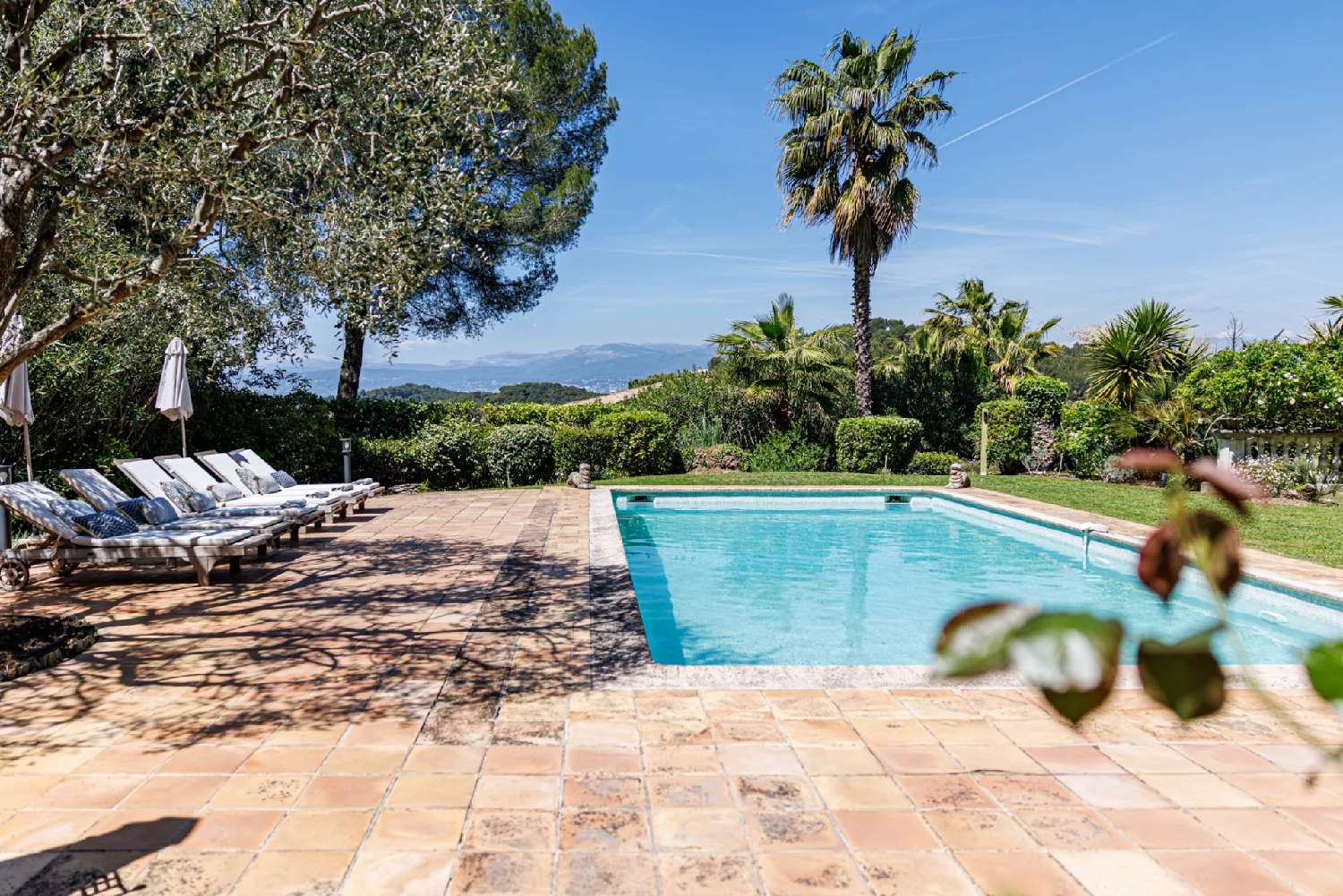 à vendre villa Cannes Alpes-Maritimes 1