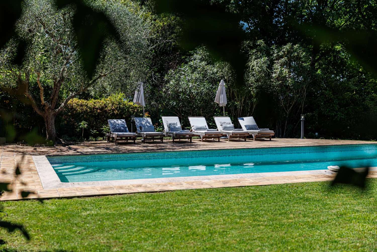 à vendre villa Cannes Alpes-Maritimes 4