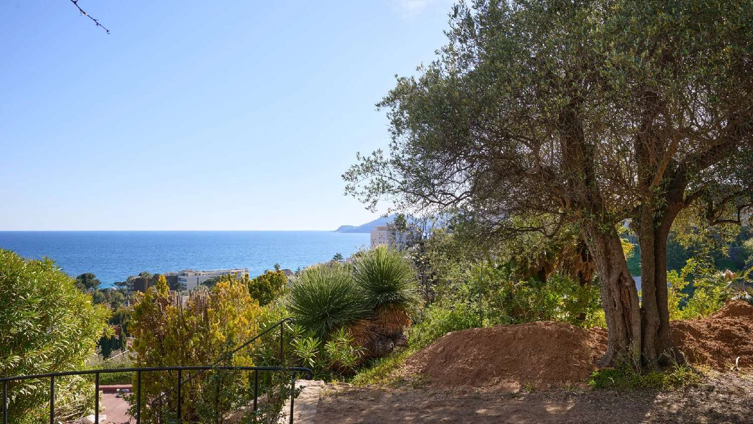 à vendre villa Cannes Alpes-Maritimes 4
