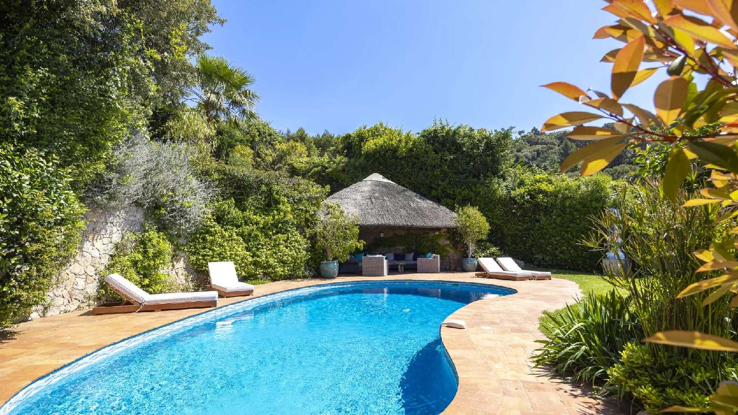 à vendre villa Cannes Alpes-Maritimes 2