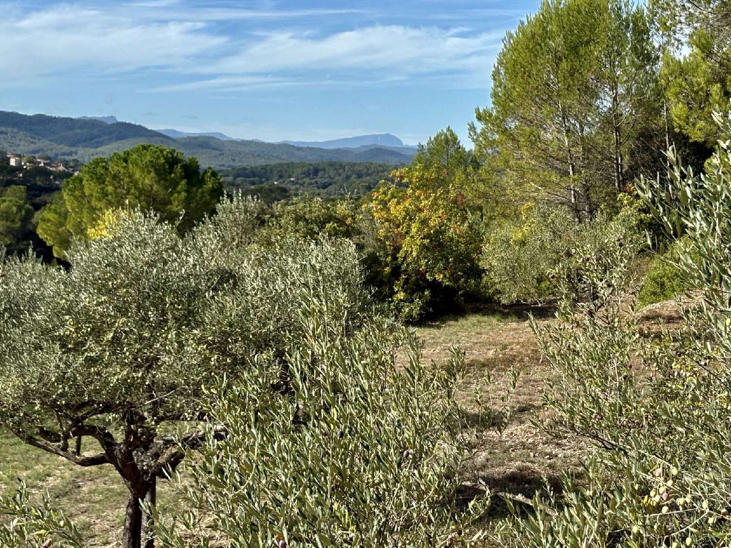  en venta villa Carcès Var 8