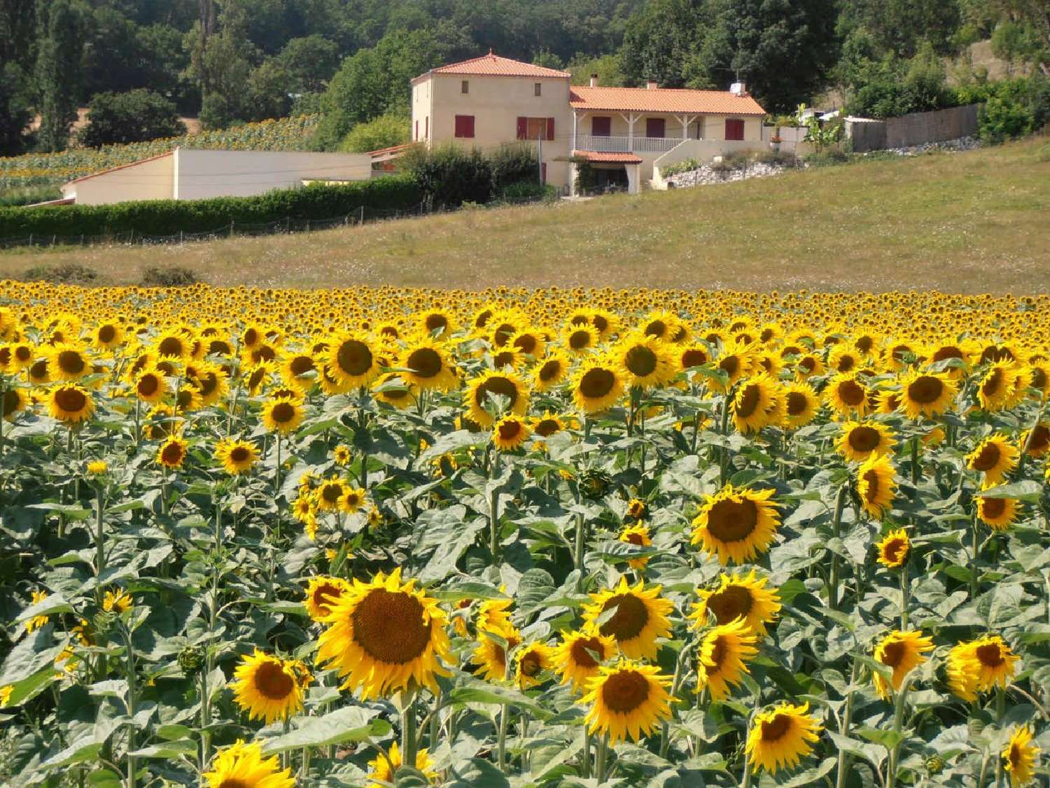 te koop villa Cazes-Mondenard Tarn-et-Garonne 4