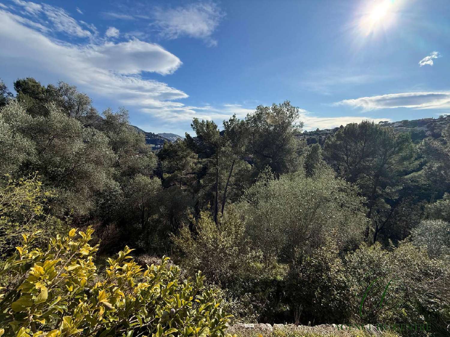  te koop villa Falicon Alpes-Maritimes 4
