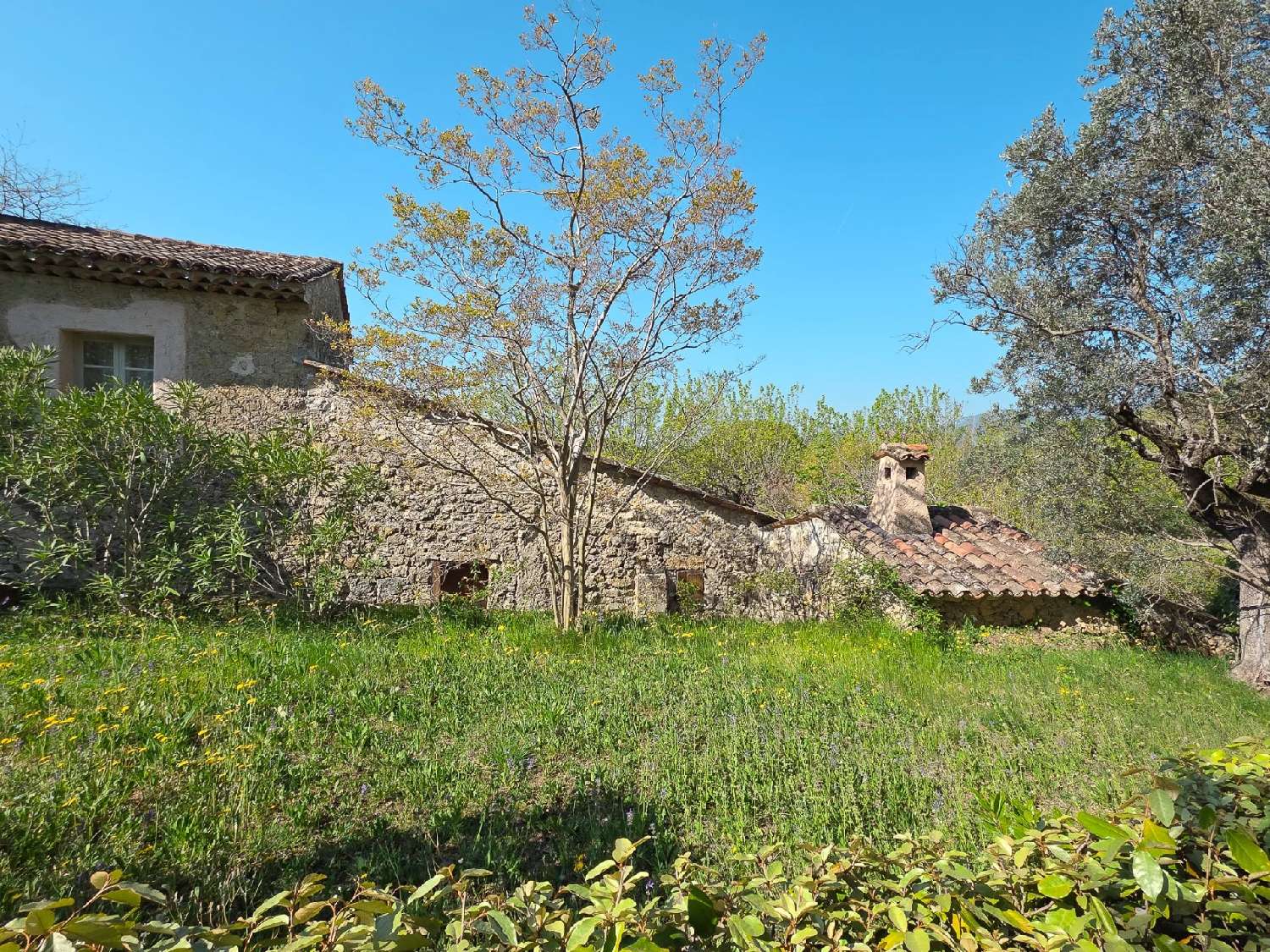  à vendre villa Fayence Var 4