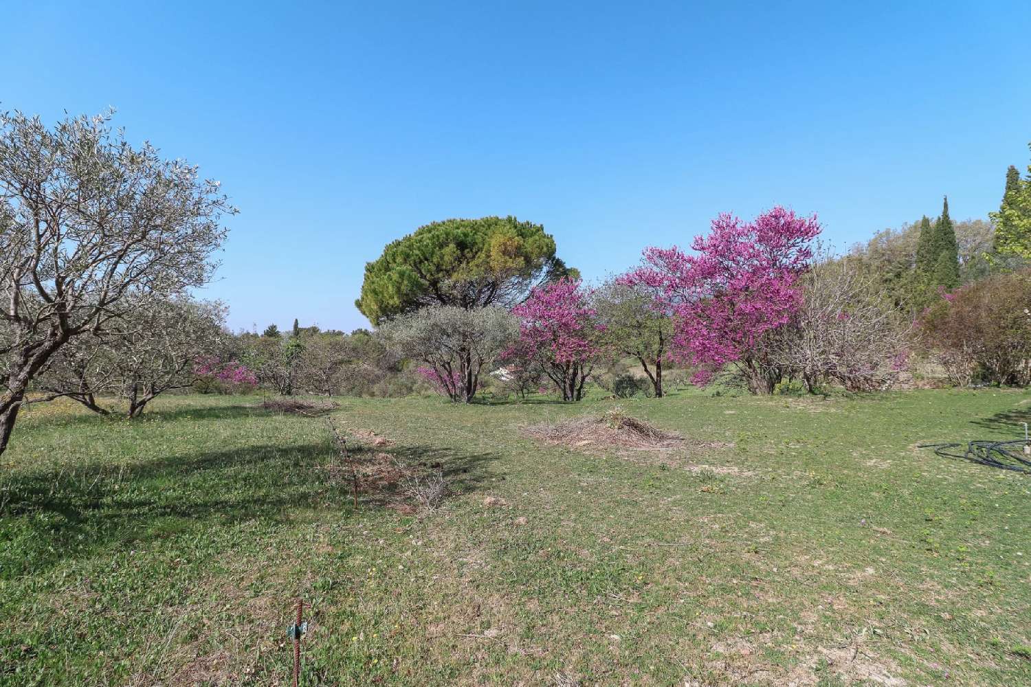  à vendre villa Fayence Var 7
