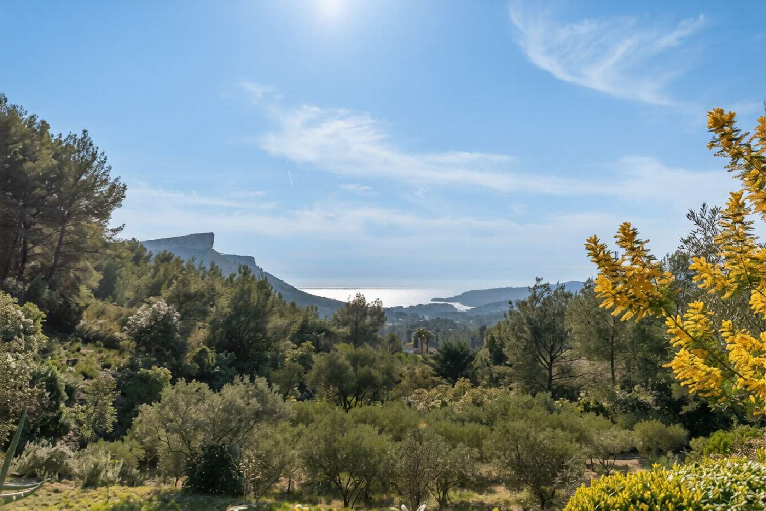  te koop villa Fourneaux-le-Val Calvados 2