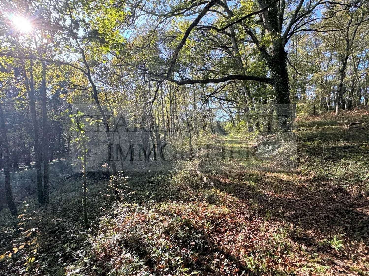  te koop villa Frayssinet-le-Gélat Lot 6
