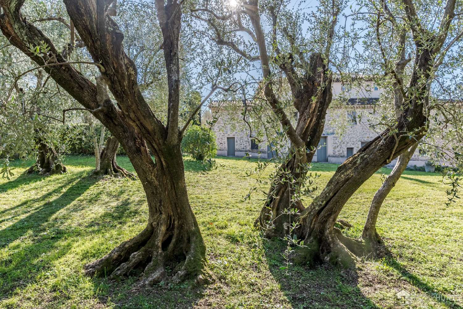  à vendre villa Grasse Alpes-Maritimes 8