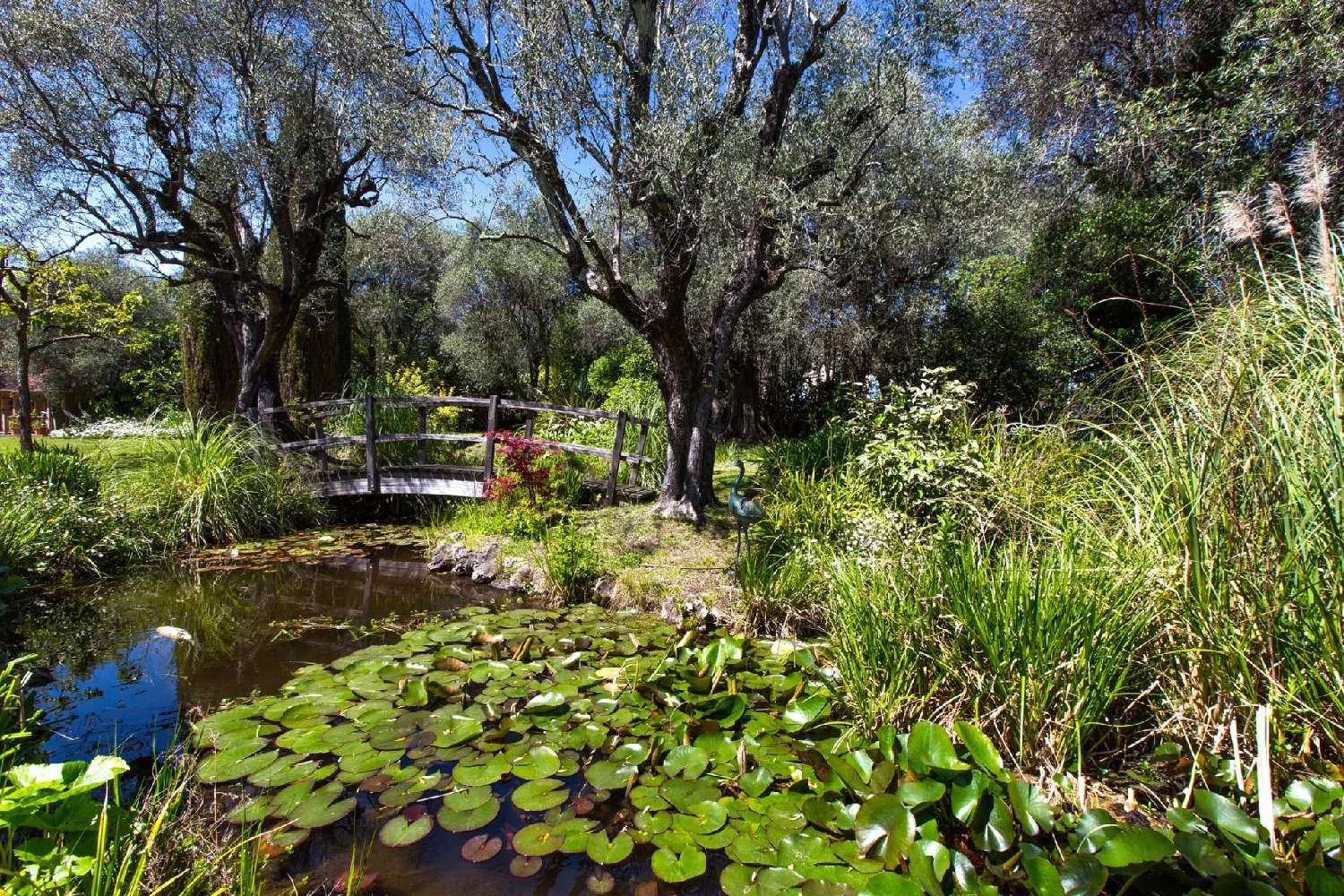  for sale villa Grasse Alpes-Maritimes 1