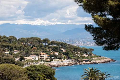 Juan-les-Pins Alpes-Maritimes villa foto 7327863