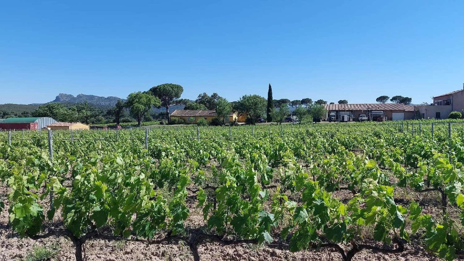 te koop villa La Motte Var 1