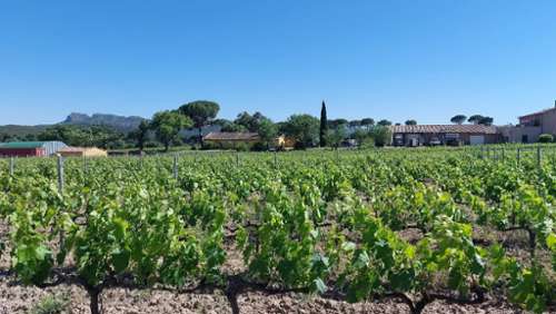 La Motte Var villa foto 7346719