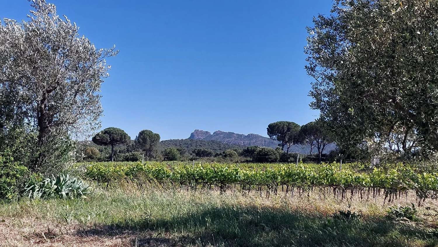 te koop villa La Motte Var 2