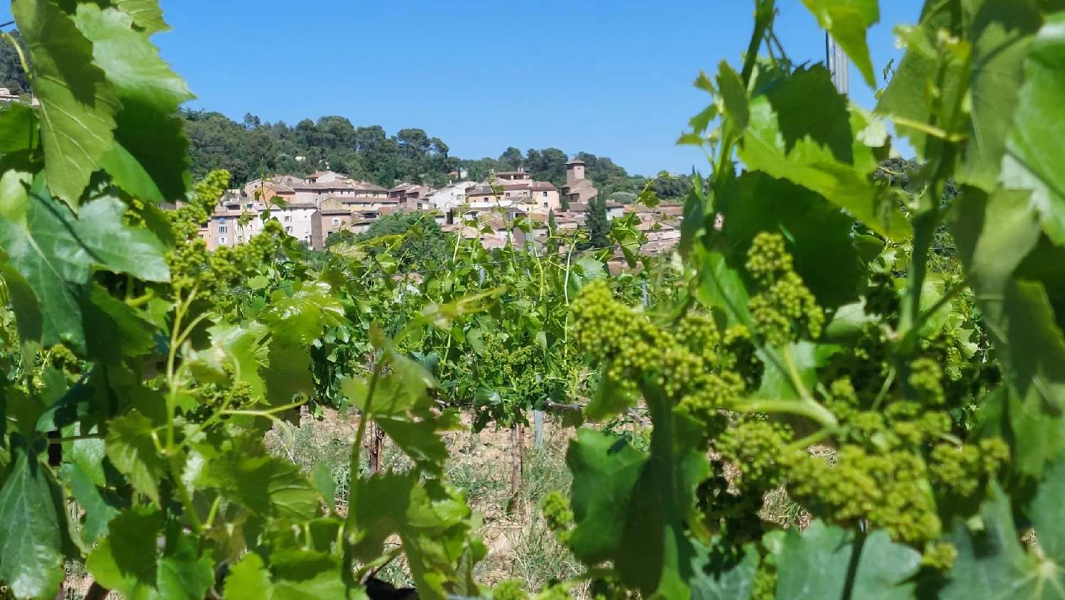 te koop villa La Motte Var 7