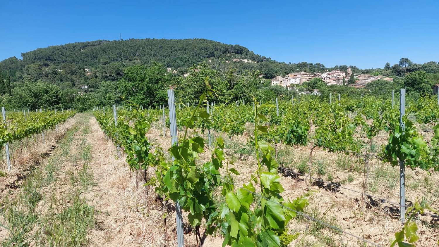 te koop villa La Motte Var 8