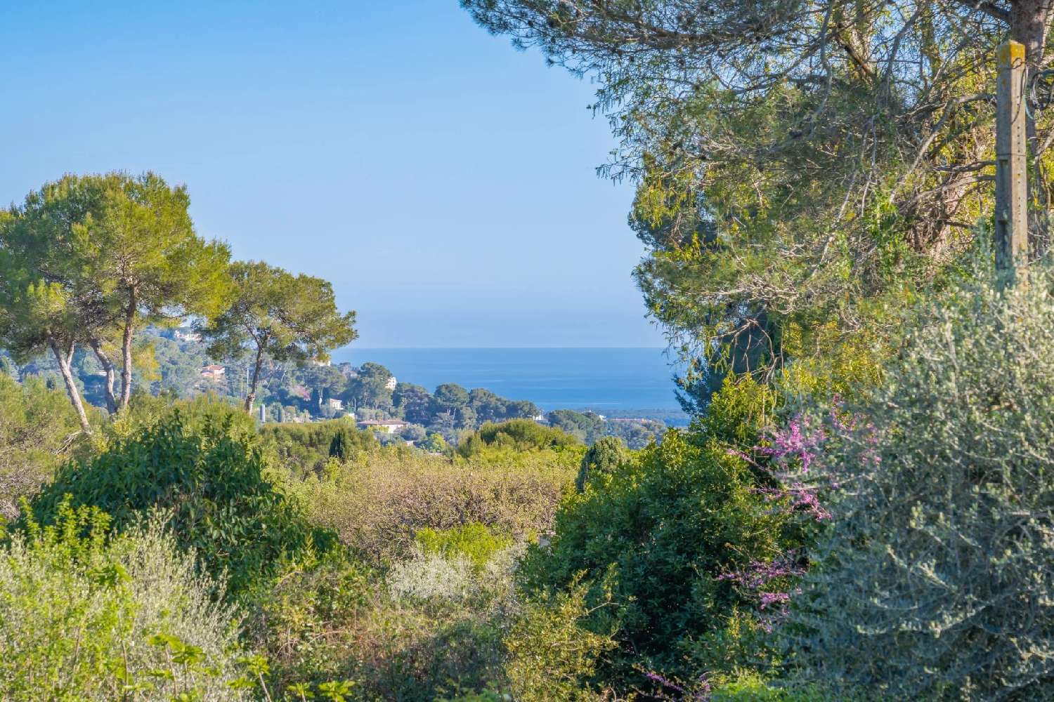  for sale villa Mougins Alpes-Maritimes 3