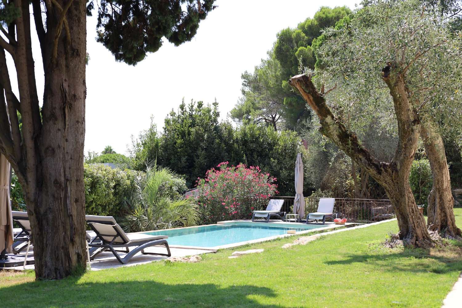  te koop villa Mougins Alpes-Maritimes 4