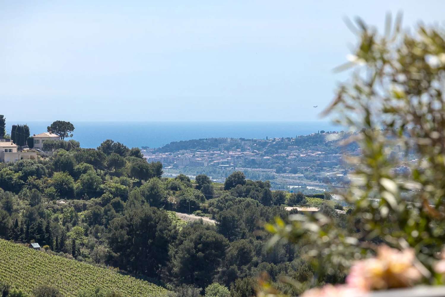  for sale villa Nice Alpes-Maritimes 3